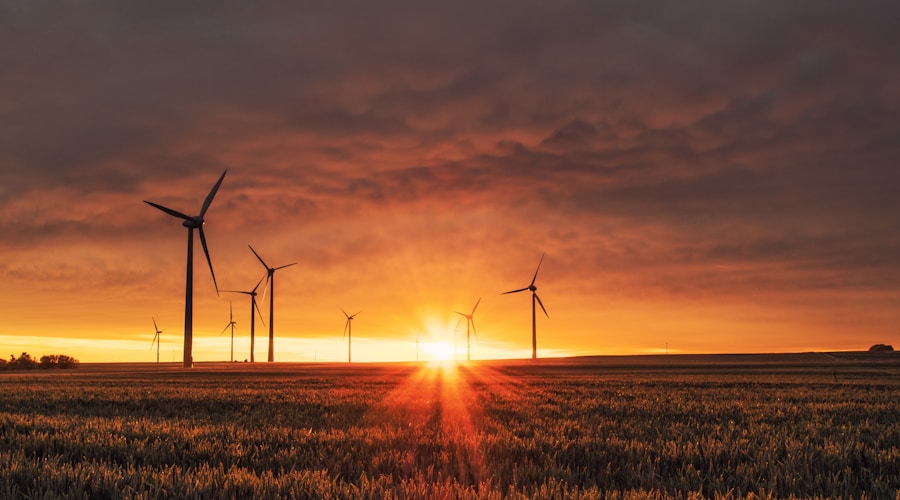 Restoration workers planting native vegetation along an Ontario lakeshore