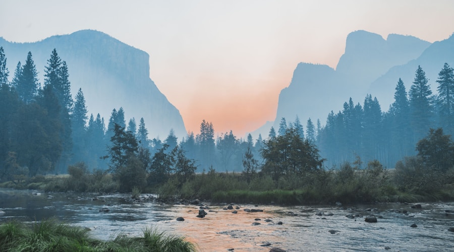 Wooden boardwalk trail along a lakeshore with trees and park benches