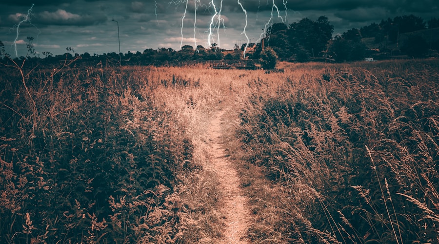 Frozen harbour with ice-covered docks and snow on the surrounding walkways