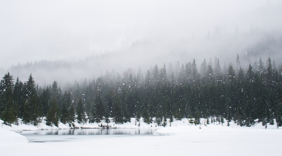 Snow-covered lakefront with bare trees and soft winter light