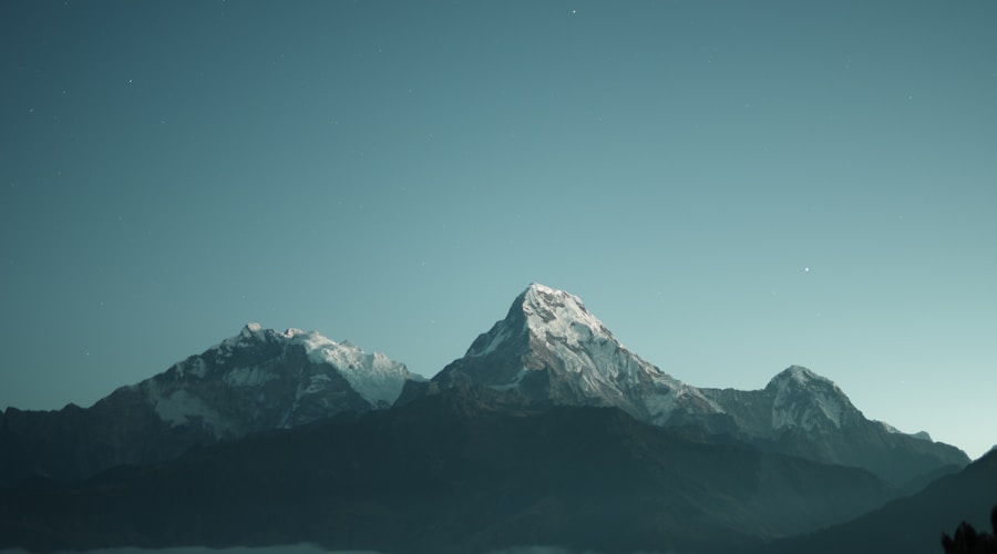 Frozen lake shoreline with snow-covered trees and ice formations