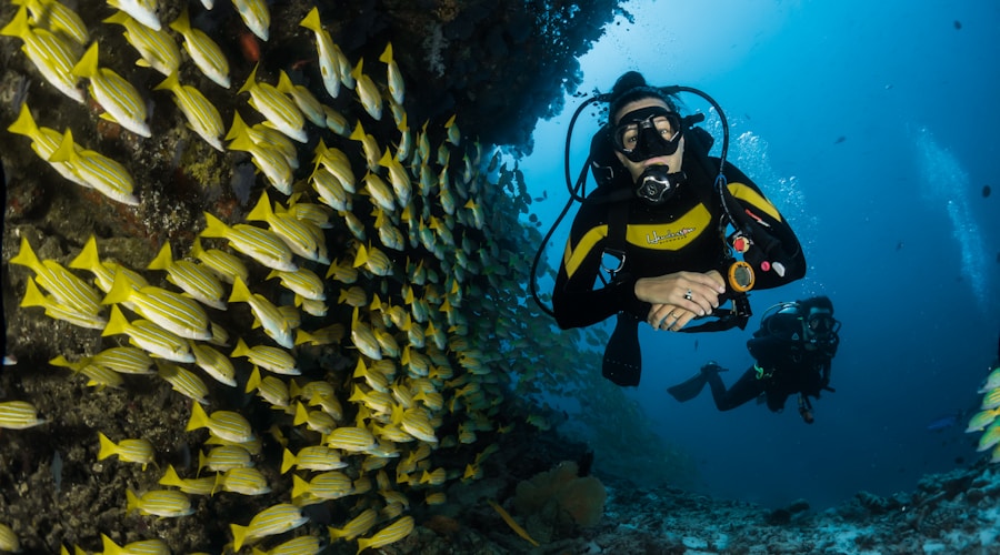 Underwater rocky lakebed with clear water showing aquatic ecosystem